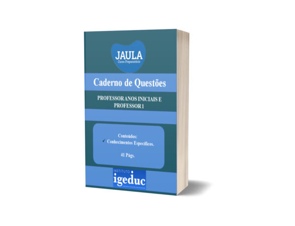 IGEDUC - CADERNO DE TREINO / PROFESSOR ANOS INICIAIS E INFANTIL